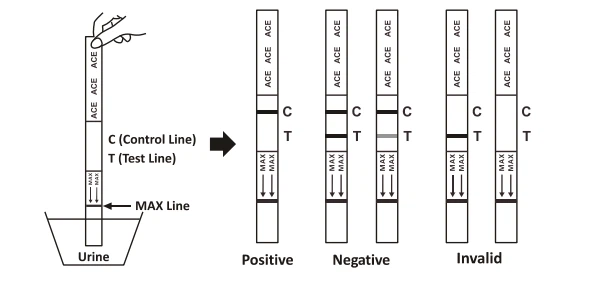 product-603-284 product-603-284